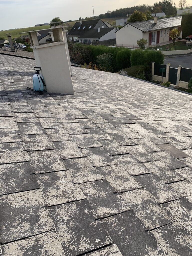 Enlèvement des mousses manuellement suivi d’un traitement de toiture - Champigny-sur-Marne - VITO Le Compagnon Parisien