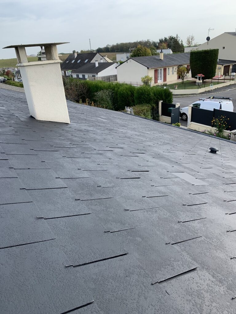 Enlèvement des mousses manuellement suivi d’un traitement de toiture - Champigny-sur-Marne - VITO Le Compagnon Parisien
