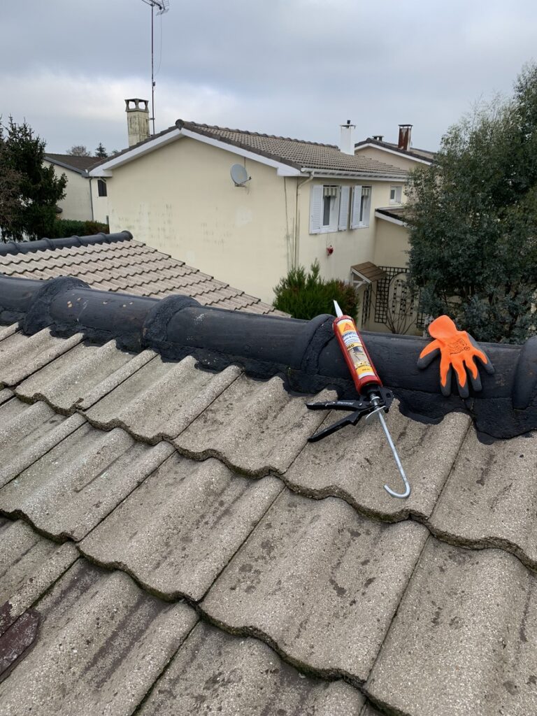 Enlèvement des mousses manuellement suivi d’un traitement de toiture - Champigny-sur-Marne - VITO Le Compagnon Parisien