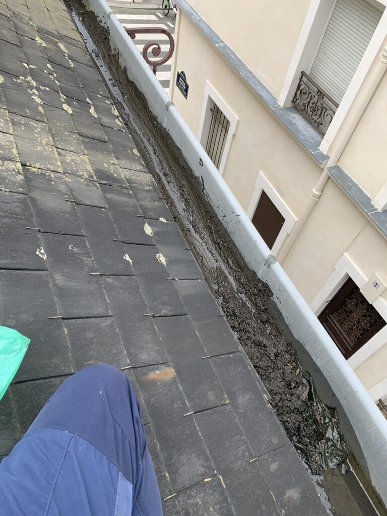 Nettoyage gouttière - VITO Le Compagnon Parisien